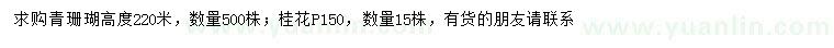 求購高220公分青珊瑚、冠幅150公分桂花