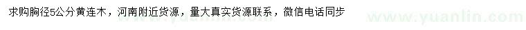 求購胸徑5公分黃連木		