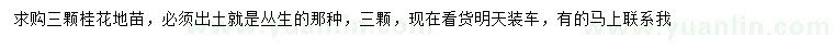 求購叢生桂花