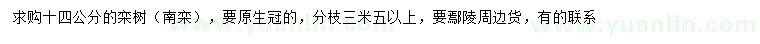 求購(gòu)14公分欒樹