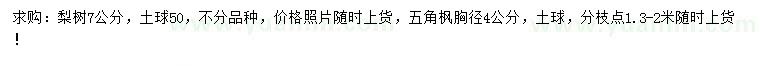 求購7公分梨樹、胸徑4公分五角楓