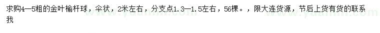 求購4-5公分金葉榆球