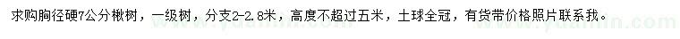 求購胸徑7公分楸樹