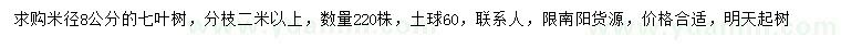 求購米徑8公分七葉樹