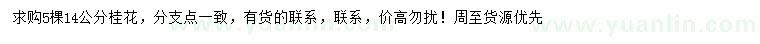求購14公分桂花