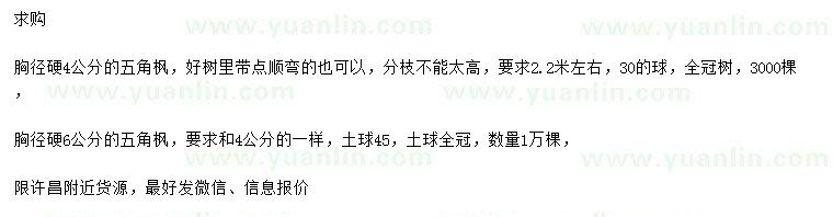 求購胸徑4、6公分五角楓