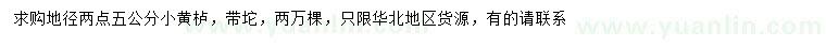 求購地徑2.5公分黃櫨