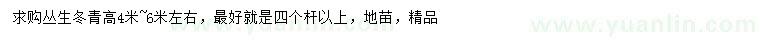 求購(gòu)高4-6米叢生冬青