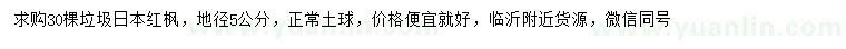 求購地徑5公分日本紅楓