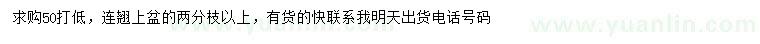 求購50公分連翹