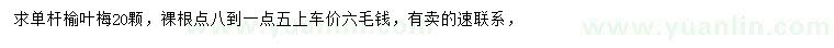 求購(gòu)單桿榆葉梅