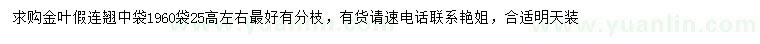 求購高25公分金葉假連翹