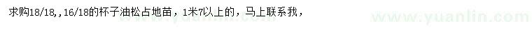 求購1.7米以上油松