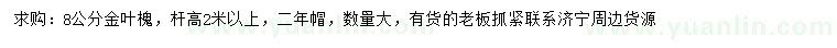 求購8公分金葉槐