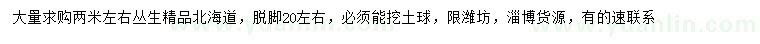 求購2米左右叢生精品北海