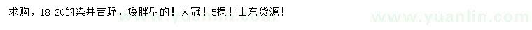 求購18-20公分染井吉野
