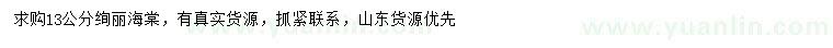 求購(gòu)13公分絢麗海棠