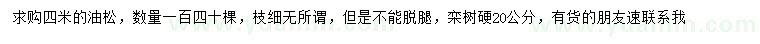 求購(gòu)4米油松、20公分欒樹(shù)