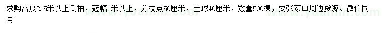 求購高2.5米以上側(cè)柏