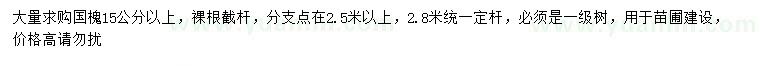 求購15公分以上國槐
