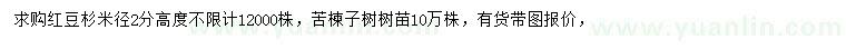 求購米徑2公分紅豆杉、苦楝子