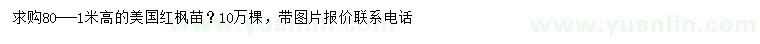 求購高80-1米美國紅楓