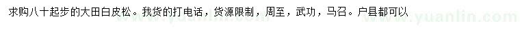 求購80公分起步大田白皮松
