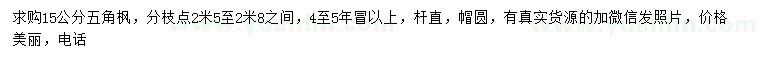 求購(gòu)15公分五角楓