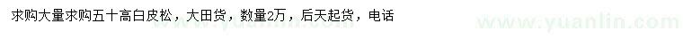 求購高50公分白皮松