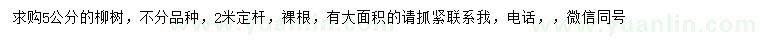求購5公分柳樹