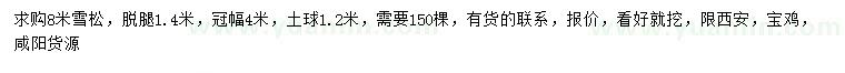 求購8米雪松