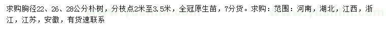 求購胸徑22、26、28公分樸樹