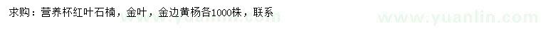 求購紅葉石楠、金葉、金邊黃楊