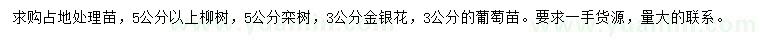 求購柳樹、欒樹、金銀花等