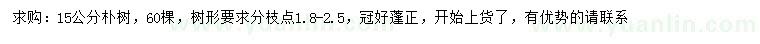 求購15公分樸樹