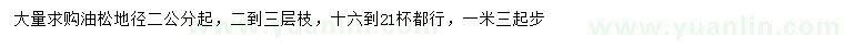 求購地徑2公分起油松