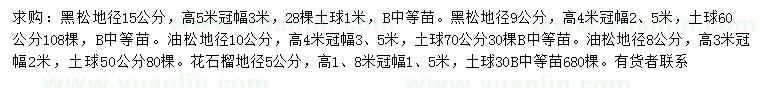 求購(gòu)黑松、油松、花石榴