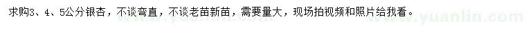 求購(gòu)3、4、5公分銀杏