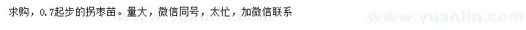 求購0.7公分以上拐棗苗
