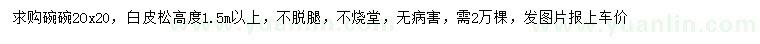 求購高1.5米以上白皮松