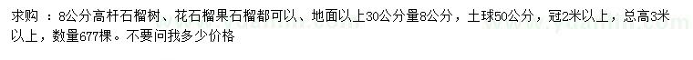 求購30量8公分高桿石榴樹