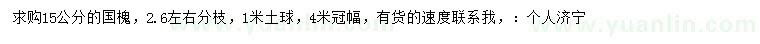 求購15公分國槐