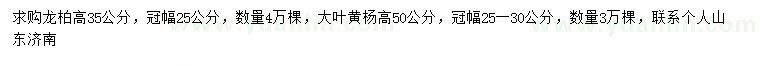 求購高35公分龍柏、50公分大葉黃楊