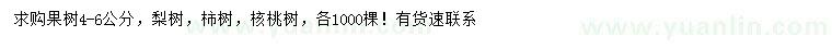求購梨樹、柿樹、核桃樹