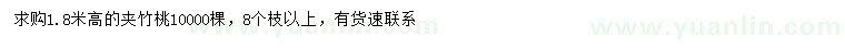 求購高1.8米夾竹桃