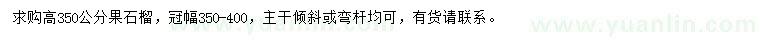求購高350公分果石榴
