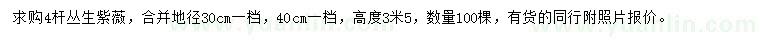 求購(gòu)地徑30、40公分叢生紫薇