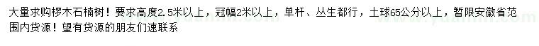 求購(gòu)高2.5米以上欏木石楠樹(shù)