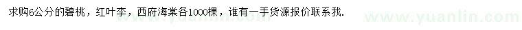 求購碧桃、紅葉李、西府海棠