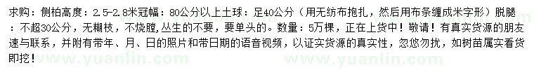 求購(gòu)高2.5-2.8米側(cè)柏
